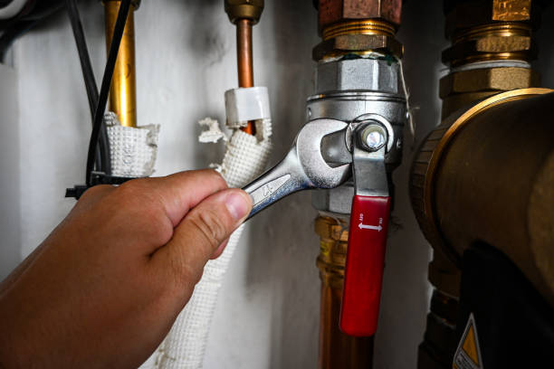 Best Leak Detection Services  in Rosamond, CA